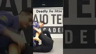 Caio Terra deadly jiu jitsu 🤣 #bjj #jiujitsu