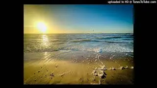 Cinematic Relaxation by Wikash Orlando 2024