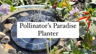 Pollinator&rsquo;s Paradise Planter 🐝