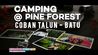 Pine FOREST CAMPING  - Digital Photo Album