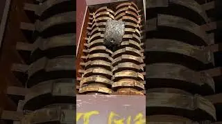 Terrifying biting force #music #Waste metals #extraction