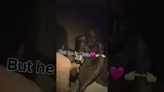 Ratman is cute#dance#ratman#viral