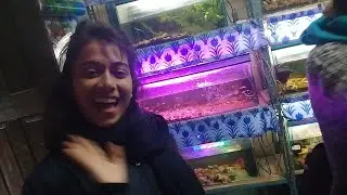 Nepali fish shop