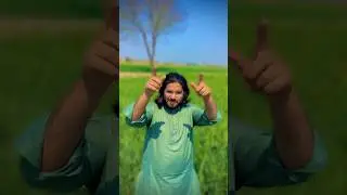 #newfunnyvideo #mailsi #vlog #mailsivlog #mailsivlog