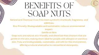 Everything About Soap nuts | Benefits,Uses & Tips By RMY