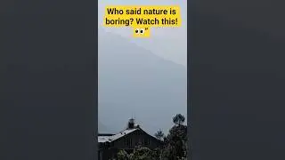 Amazing Nature Moment #Shorts#nature #youtubeshort #trending #viral
