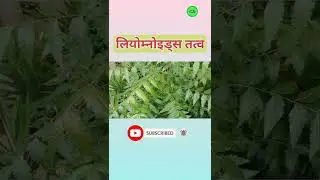 नीम की पत्ती 🌿 के औषधिय गुण | medicinal properties of neem leaves #shorts