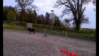Falling off Magic. Yes that banging noise is my head!
