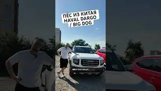 HAVAL DARGO / BIG DOG - пёс из Китая #chinacars #китайскиемашины #автоизкитая #хавал #юмор #memes