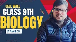 Cell Wall &ndash; The Outer Protection of Plant Cells | Class 9 #biology #sciencefacts #mustwatch 