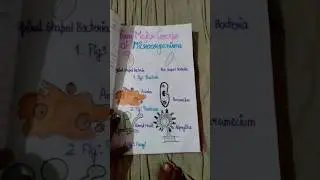 class 8 science project file #music #vlogmuisc #vloggermusicbackground #musiforcreators #class