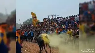 RAVAN EXPRESS - DHASANAPURAM JALLIKATTU 2023... Mas Performance Video... #hosurjallikattu