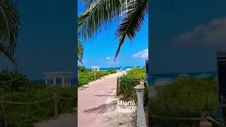Miami #shortsvideo #shorts #short #miami #travel