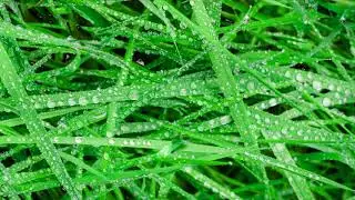 Gewitter aus meiner CD 