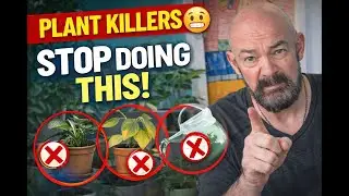 5 Common Houseplant Mistakes