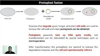 GE5 - Methods of transformation #electroporation #heatshock #biolistics #rdt #transformation