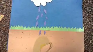 The cycle of a flower