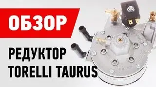 Обзор: Редуктор Torelli Taurus 4-го поколения [Пропан]