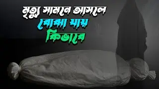 মৃত্যুর আগে ৫টি লক্ষণ—হাদিস অনুযায়ী | Heart Touching Islamic riminder.। ময়নুল ইসলাম