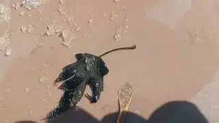 Довольно суматошное утро.