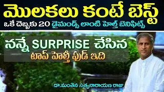 How to Grow Microgreens at Home | High in Nutrients | Morbid Obesity | Manthena Satyanarayana Raju