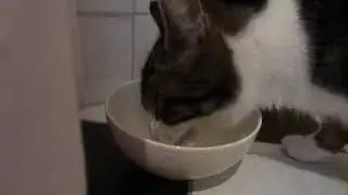 Noortje & Friends ; breakfast for Heidi !