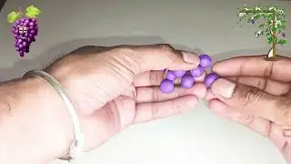 Grapes & Orange Clay Models, and Simple Information