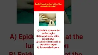 #Caudal #block #Anatomical position #MCQs #short #youtubeshort
