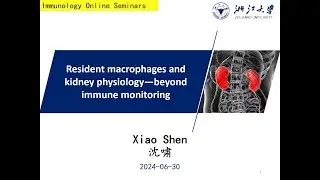Resident macrophages and kidney physiology