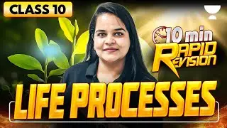 CBSE Class 10 Biology | Life Processes Rapid Revision | Biology Complete Explanation | Reena Ma'am