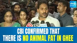 CBI Confirmed that There is No Animal Fat in Ghee : YS Jagan on Tirumala Laddu | Sakshi TV