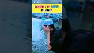 Benefits of Ablution In Night💞|Must Watch|🙏#subscribe #islamic #facts #islam #education #ablution