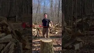 Oddly Satisfying Wood Split!