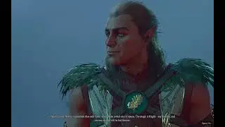 Solo Honor Mode Halsin Portal Defense No Hit Shadow Monk