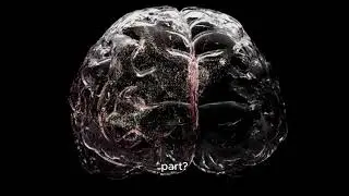Your brain can hold 2.5 petabytes of information 🤯🤯