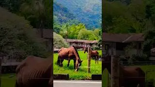 Paisajes de encanto 🇨🇴 #turismo #montana #campo #anhelo #colombia #rural #destino #viaje #recuerdos