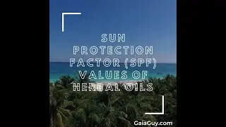 A natural DIY sunblock. SPF of Essential oils List