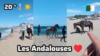 Les Andalouses