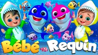 Bébé Requin et Amis | Comptines Et Chansons | À Bébé Chanson @SuperLucaLEFrancais