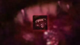 [FREE] Playboi Carti x Summrs | Hard Rage Type Beat [Prod.Fuks]