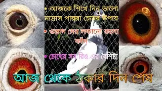 আজকেই শিখে নিন ভালো মাদ্রাস  চেনার উপায় 😉 জেনে নিন চোখের বৈশিষ্ট্য (HOW TO FIND TOP QUALITY MADRAS)
