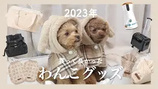 【大反省】愛犬達に貢ぎすぎて財布が空になった2023年…💸