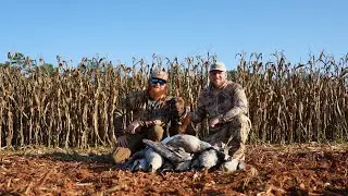 Early Goose Hunt in South Carolina!! (Bad Shot Calling Early Season Mistakes)