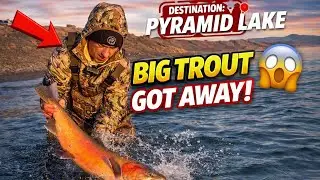 The Fish That Got Away! Ladder Time Season 3 Episode 2!