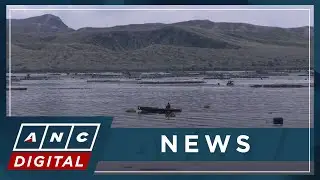 DOJ to tap Japan in search for missing cockfighters; PCG ready to deploy divers to Taal Lake | ANC