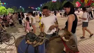Have you ever seen this 95cm little male donkey