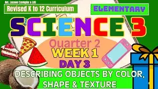 Естествознание, 3 класс, Q2 W1 D3 | Описание предметов по цвету, форме и текстуре | Пересмотренны...