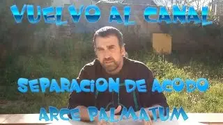 Vuelvo al Canal !!! Separacion de Acodo Arce Palmatum