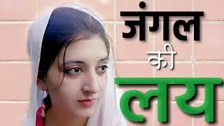 Superhit हसनपुर के  छोरा | Mewat Studios