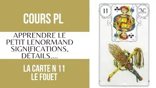 🔮Carte N 11 le fouet: explications et détails du Petit Lenormand 🔮